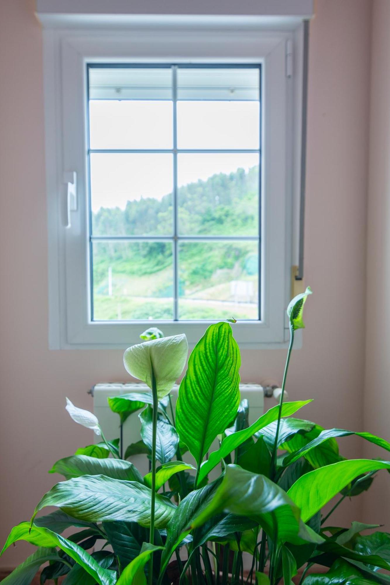 Liencres Apartamentos Dış mekan fotoğraf